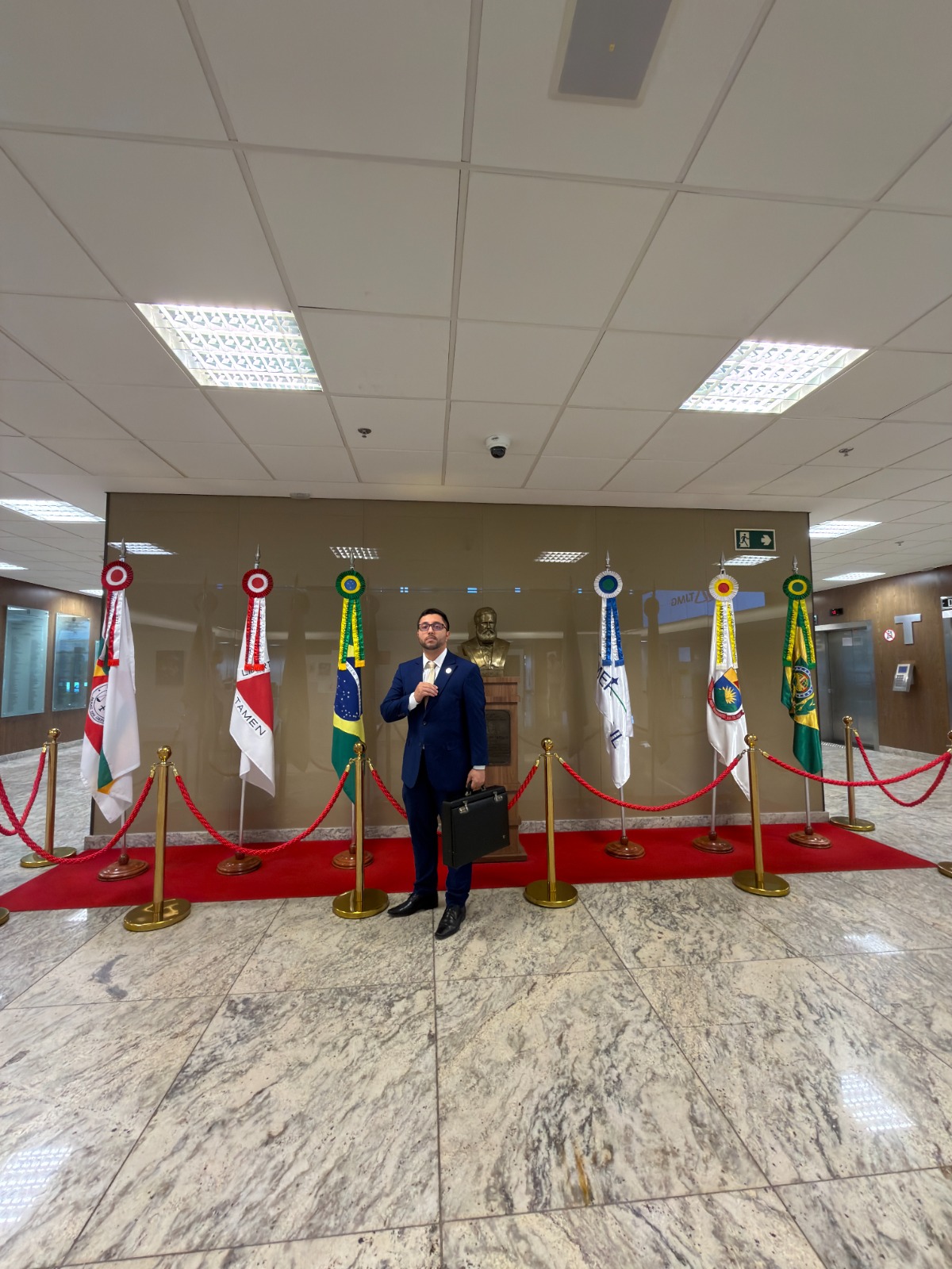 Atuação institucional